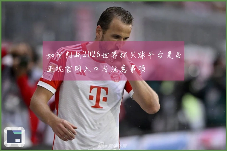 如何判断2026世界杯买球平台是否正规官网入口与注意事项