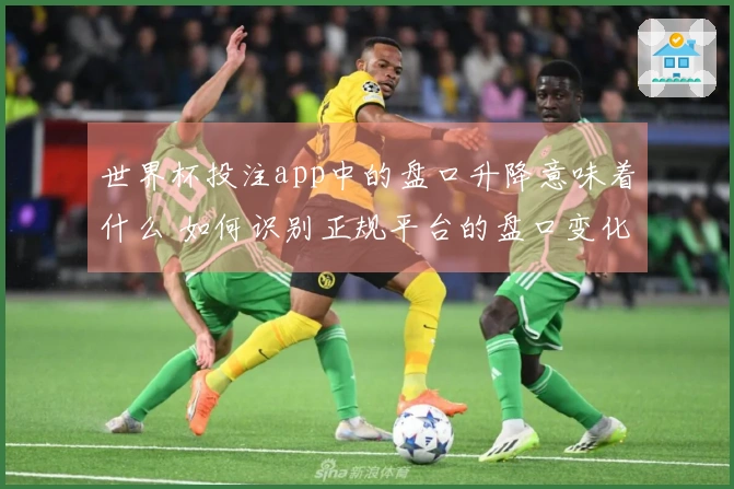 世界杯投注app中的盘口升降意味着什么 如何识别正规平台的盘口变化