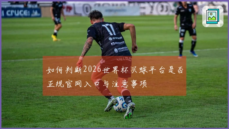 如何判断2026世界杯买球平台是否正规官网入口与注意事项